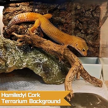 CORK BARK REPTILE Hide Cave Dragon Leopard Gecko Spider Mantis Snake