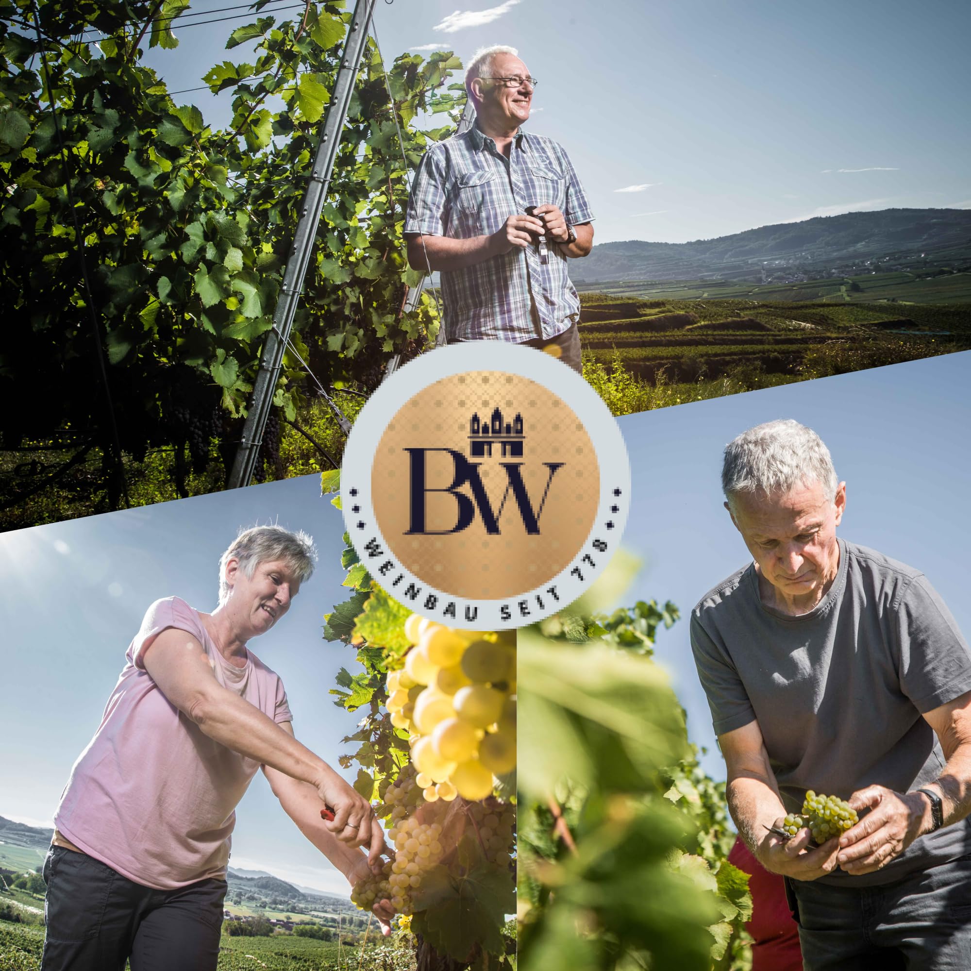 Burkheimer Spätburgunder trocken Grande Reserve - Rotwein Auslese aus dem Schlossgarten mit Kirsch- & Waldbeeraromen - Stolz Kollektion - vom Kaiserstuhl (3 x 0,75l)