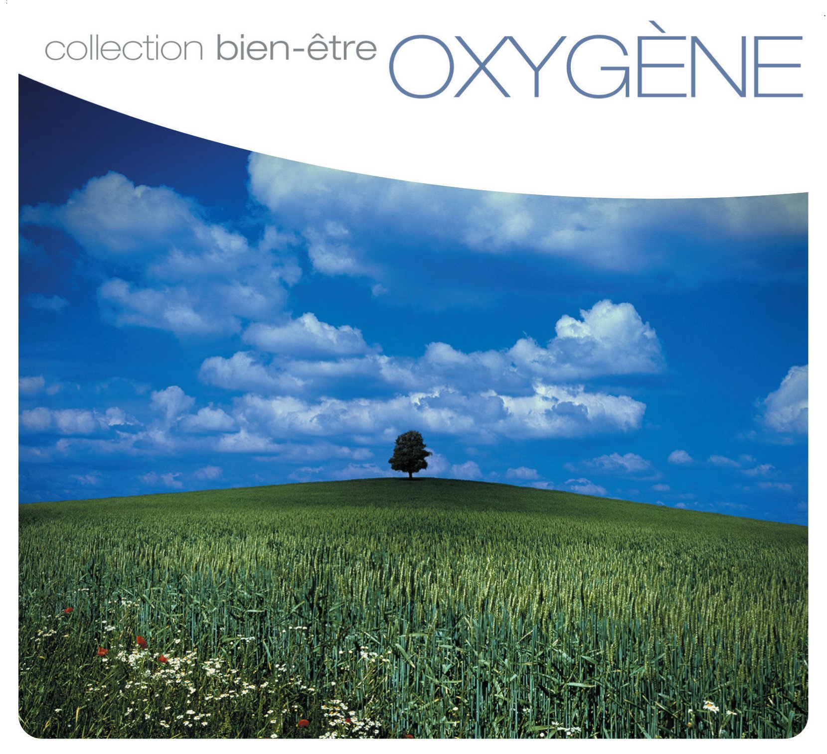 Oxygene [Audio CD] Various