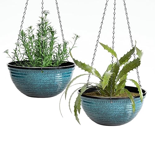 12 inch Hanging Planters for Indoor Outdoor Plants, 2 Pack