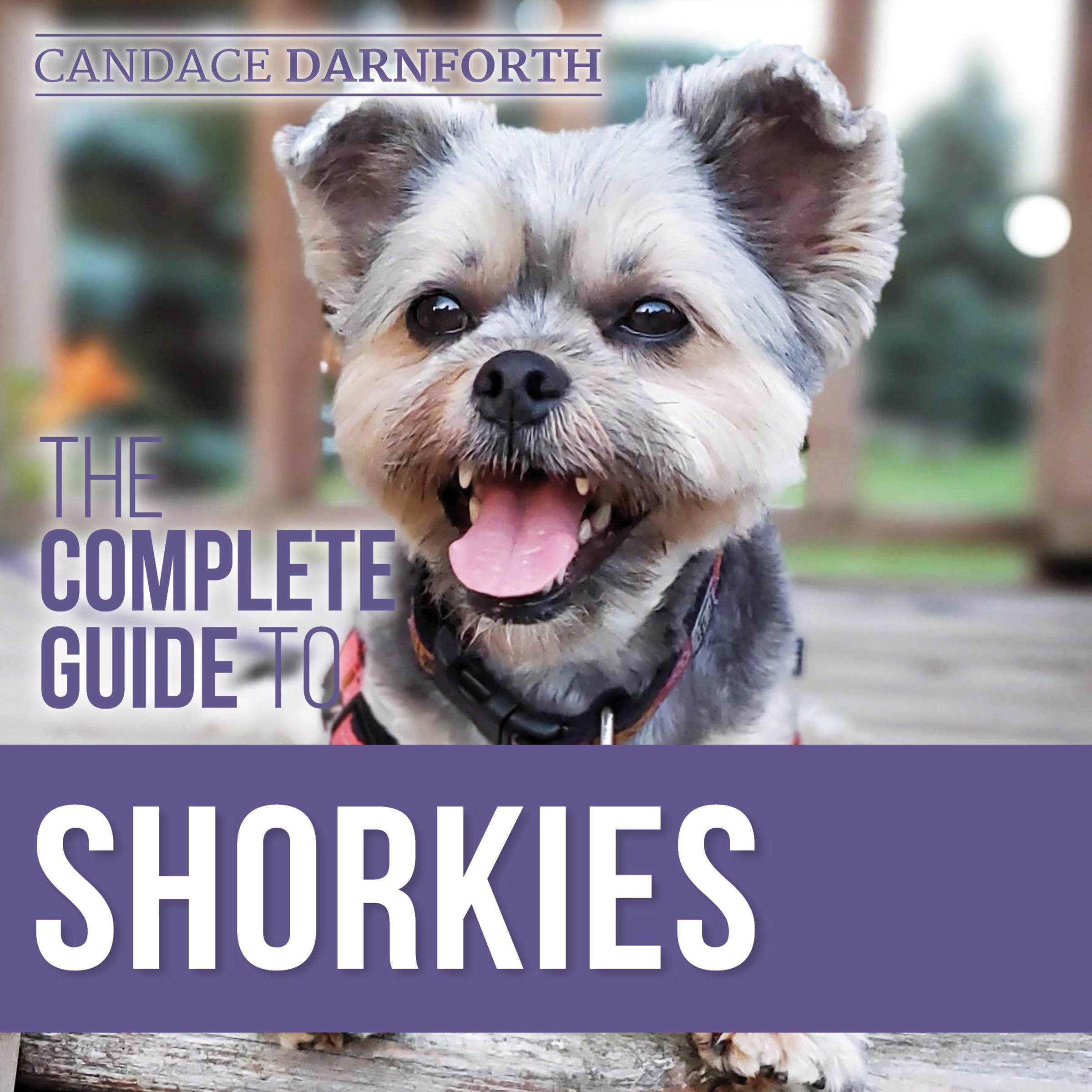The Complete Guide to Shorkies
