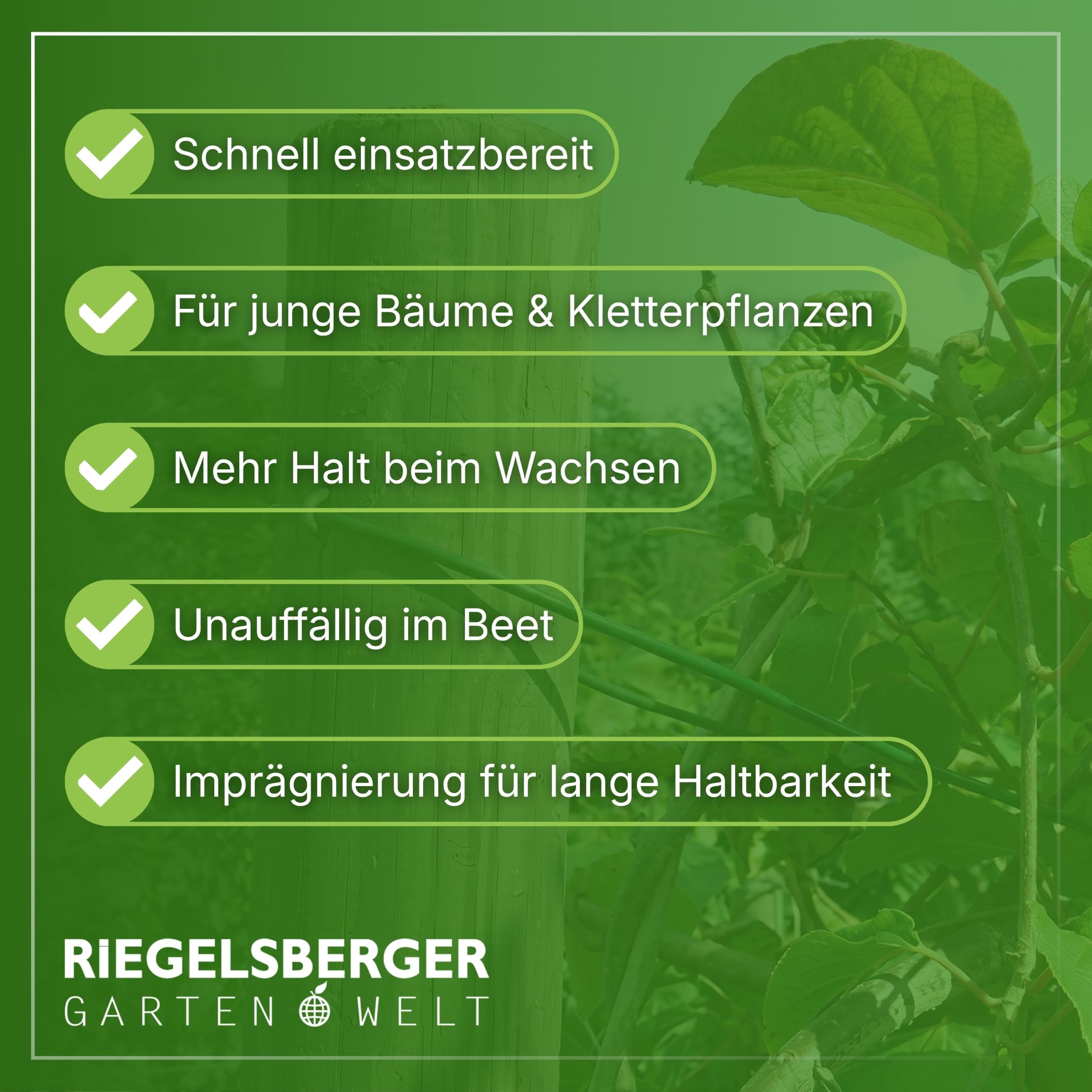 Gartenwelt Riegelsberger Holzpfahl Kiefer KDI Ø 6 x 175 cm 10 Stück | Imprägniert, gefräst & gespitzt | Pflanzpfahl, Rankstab & Rankhilfe für Tomaten, Gurken und Kletterpflanzen