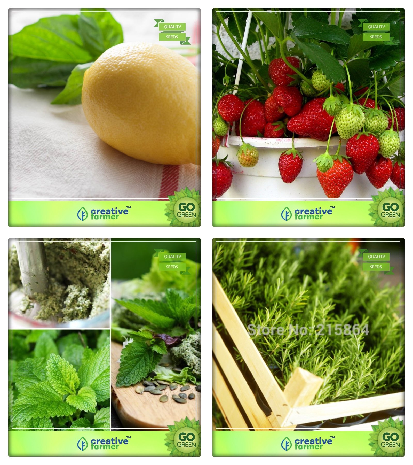 See full amazon price history chart for Creative Farmer Herb Plants Seeds For Home Lemon Basil, Alpine Strawberry, Lemon Balm, Rosemary Herb Seeds Combo Pack Creative Farmer Herb Plants Seeds For Home Lemon Basil, Alpine Strawberry, Lemon Balm, Rosemary Herb Seeds Combo Pack (B078V2X884) Amazon Price History, Amazon Price Tracker