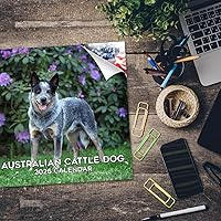 Vista 1094 de Razas de Perros 2017