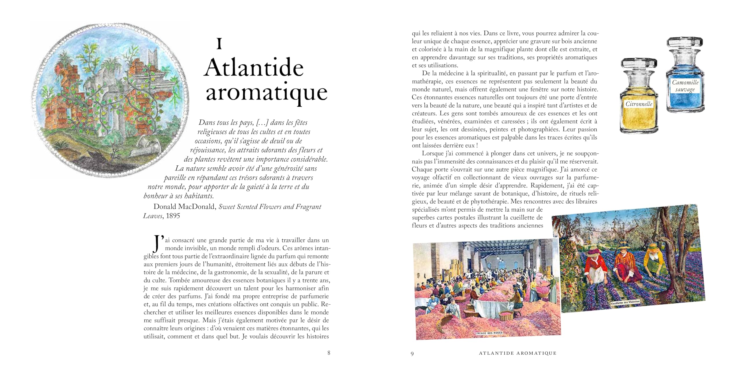 Voyage dans le monde du parfum - Le musée des senteurs