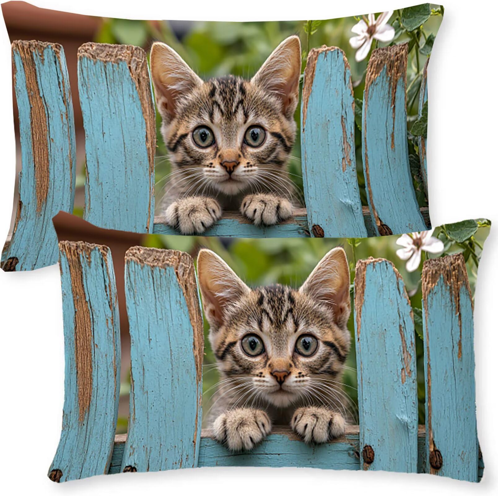 Gatito 2 Fundas De Cojín Sofa Decorativas De Terciopelo Rectángulos 50 x 70 cm Cojines Funda De Almohada Grande, Cremallera Oculta Fundas De Cojines Dormitorio Habitacion Tablas De Madera j0l-723
