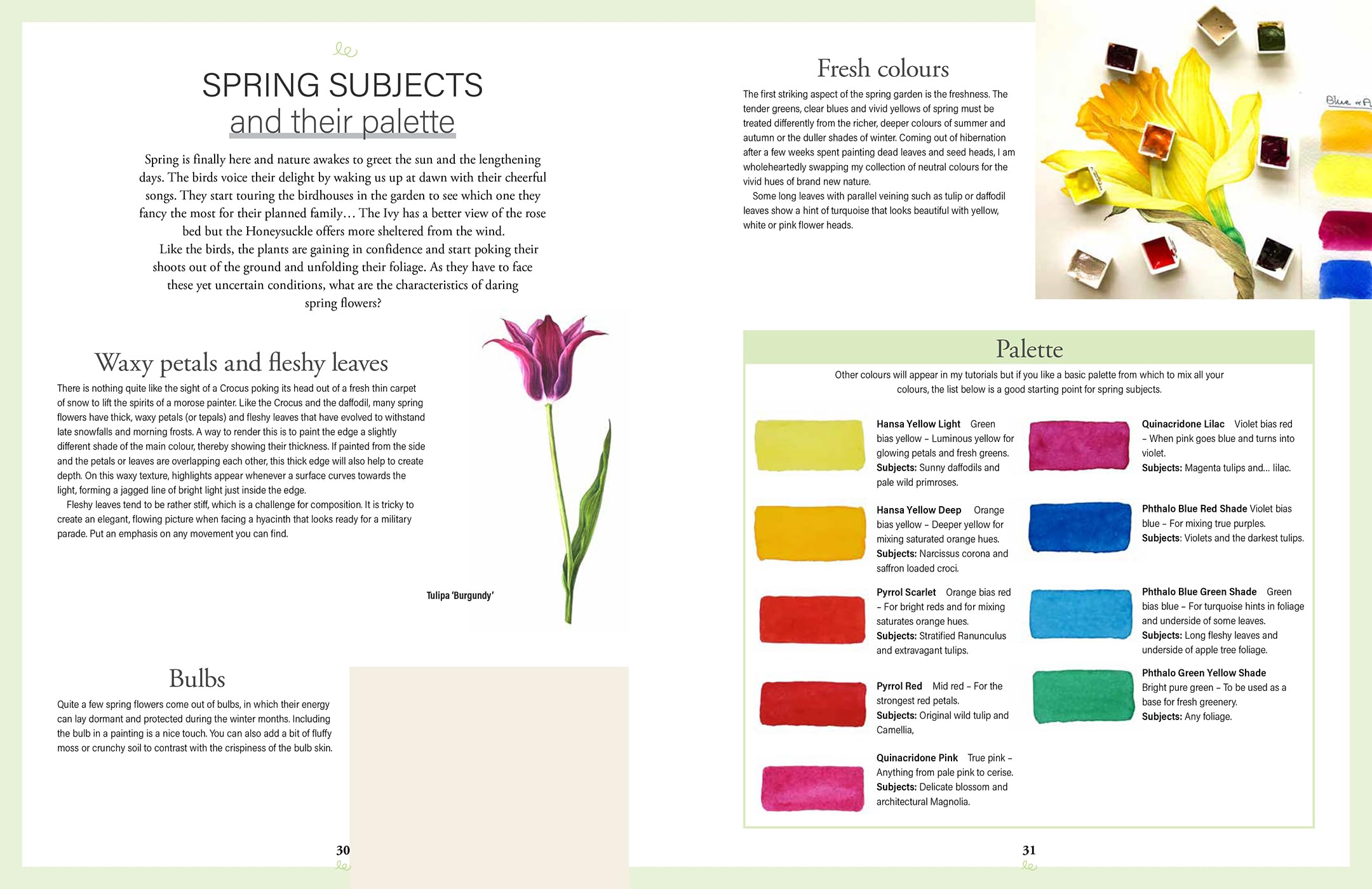 Botanical Watercolours through the seasons: An All-year-round Guide to Painting Flowers and Plants