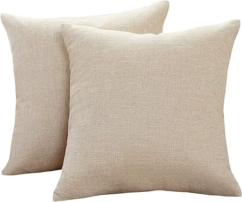 Juego de 2 fundas de almohada decorativas de lino para sofá, sala de estar, fundas de almohada para exteriores con cremallera de 20 x 20 pulgadas