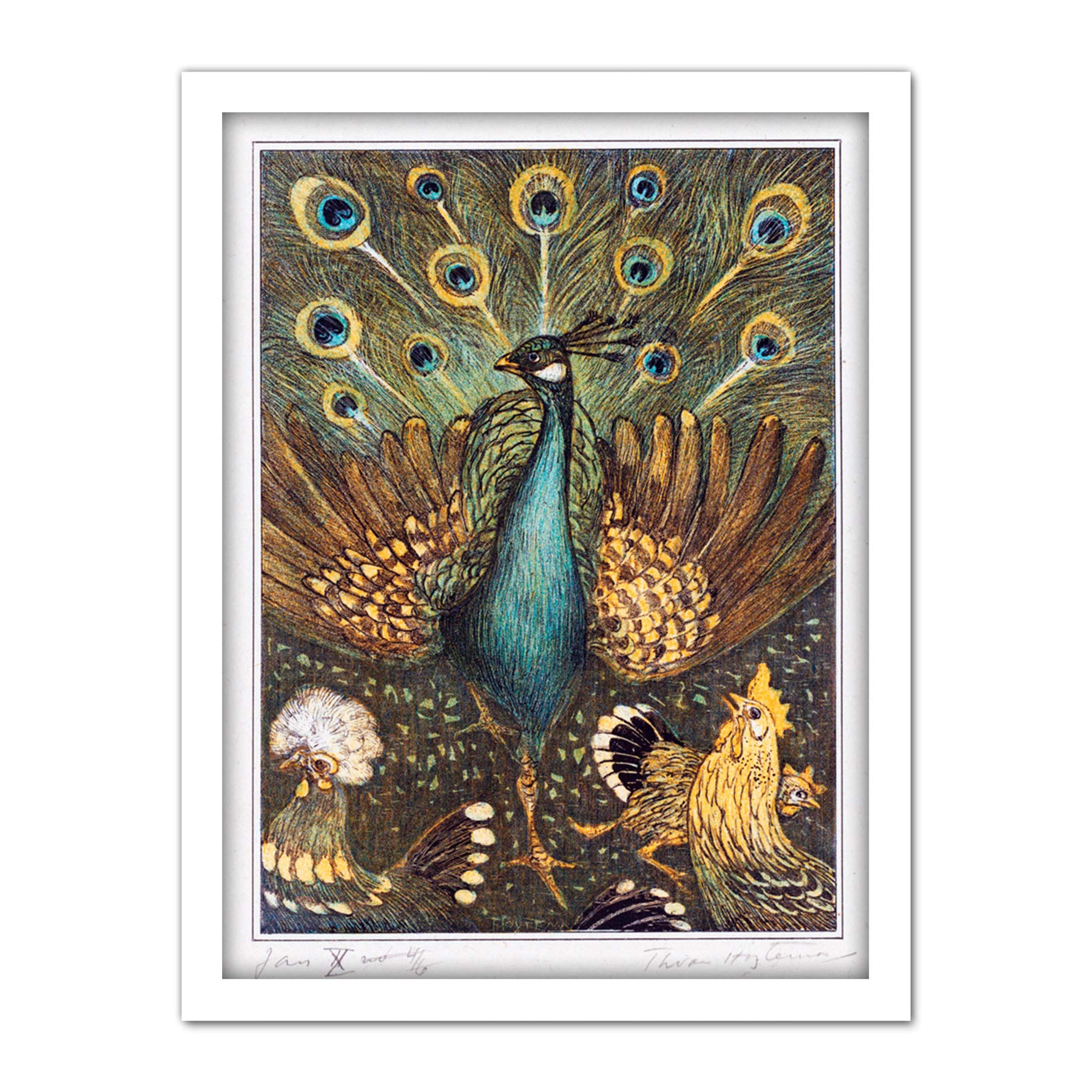 Artery8 Hoytema Peacock Chickens Birds Drawing Artwork Framed Wall Art Print 18X24 Inch