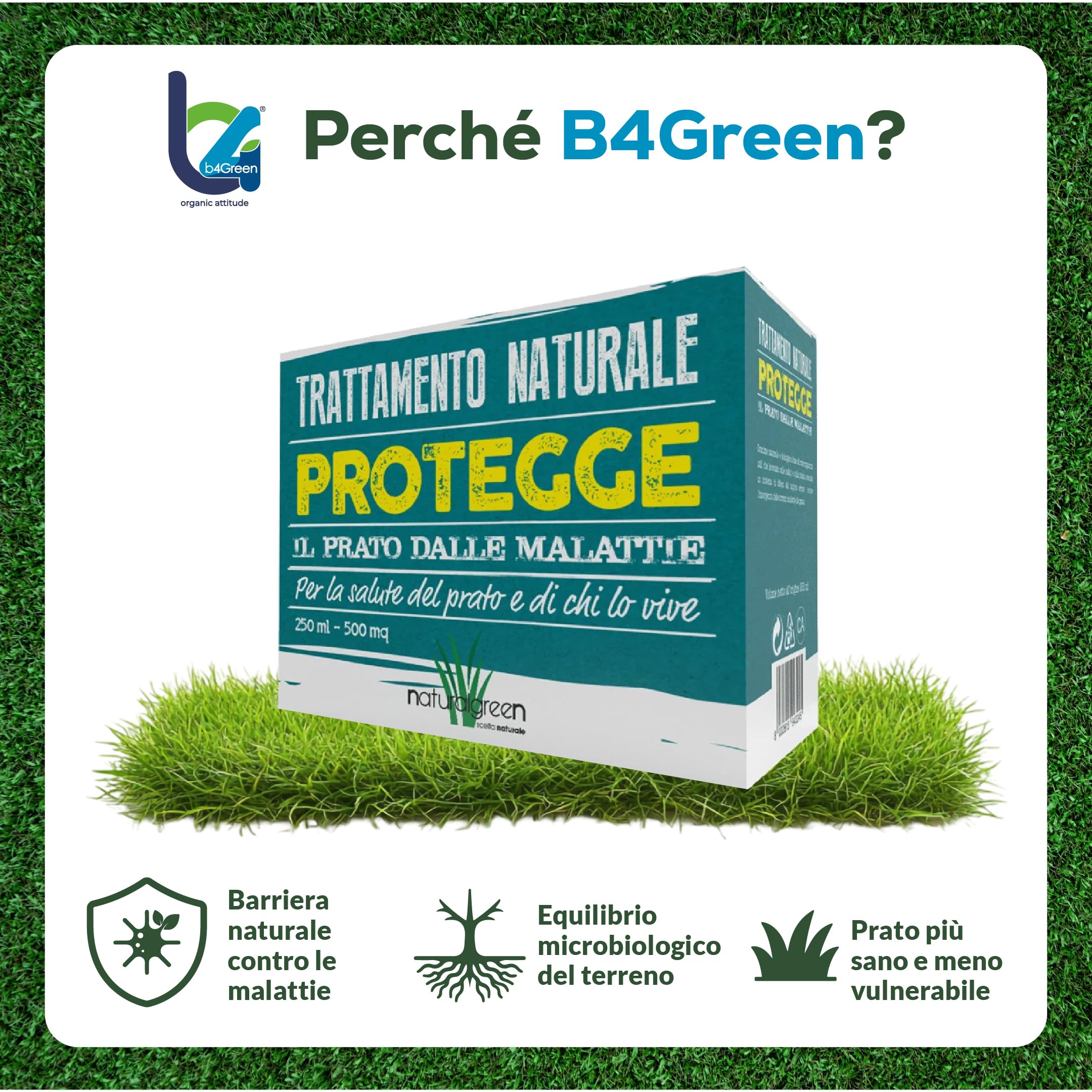 B4Green Protegge Prato (500m²) Funghicida per Prato Naturale Bio 250ml | Fungicida per Prato contro malattie fungine e prato malato, Micorrize Bio e Trichoderma per un tappeto erboso sano e verde
