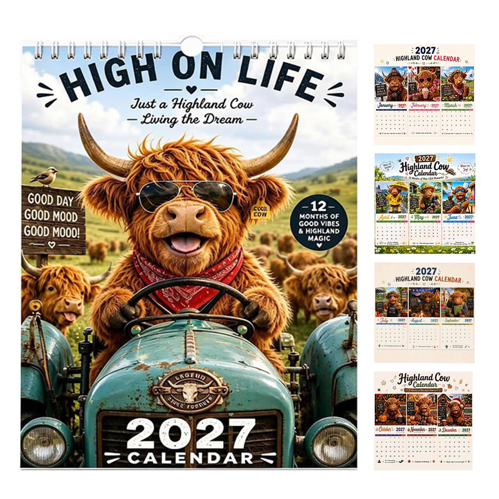 2027 Funny Highland Cow Wall Calendar, A4 Hanging Scottish Cow Calendar, Funny Seasonal Farmhouse Calendar with 12 Unique Highland Cow Illustrations for Home Office Kitchen Décor (Color A)