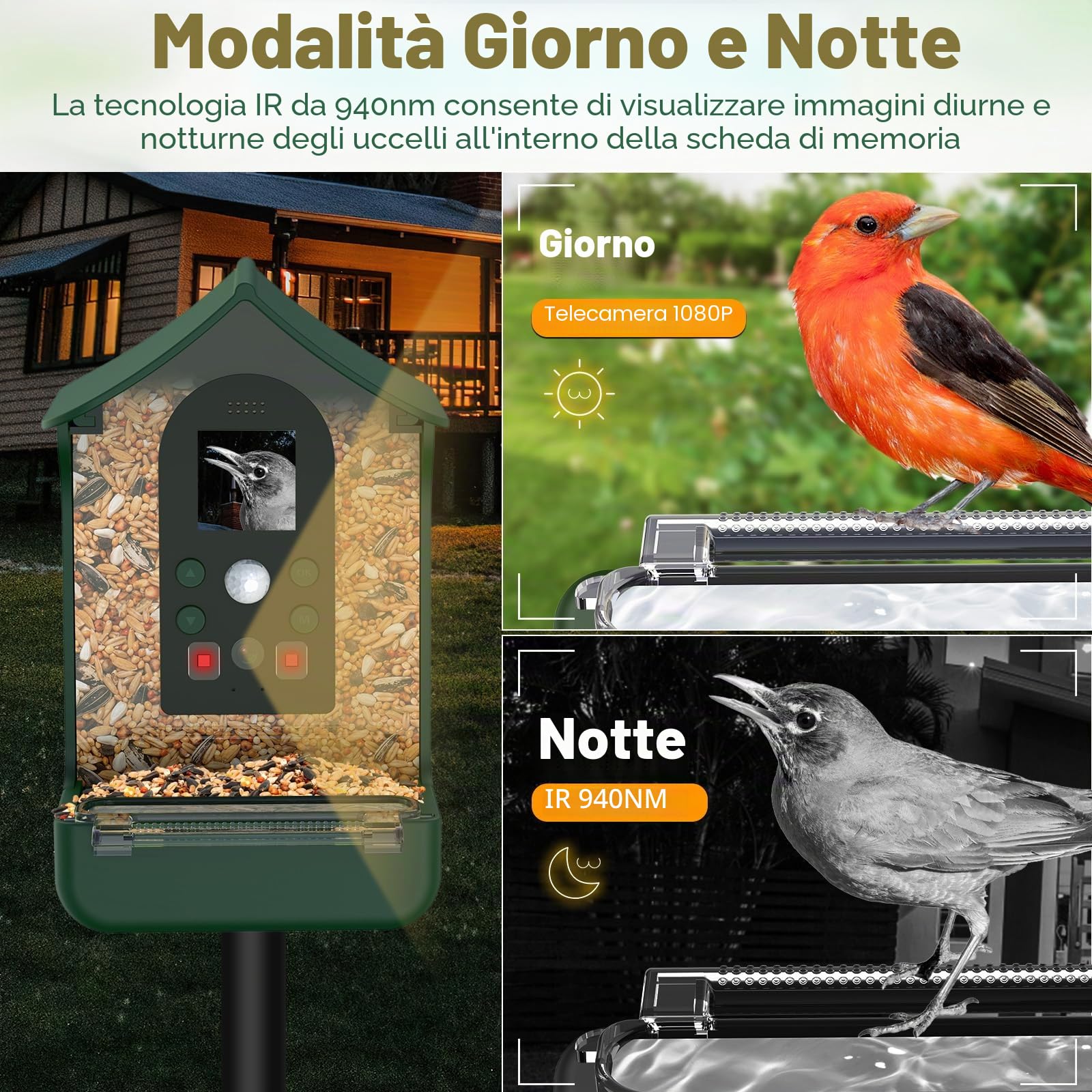 Mangiatoia per Uccelli con Telecamera, 1080P HD Mangiatoia per Uccellini da Esterno con Telecamera Notte e Giorno Automatico Foto e Video Giardino Mangiatoia Per Uccelli All'aperto - Verde