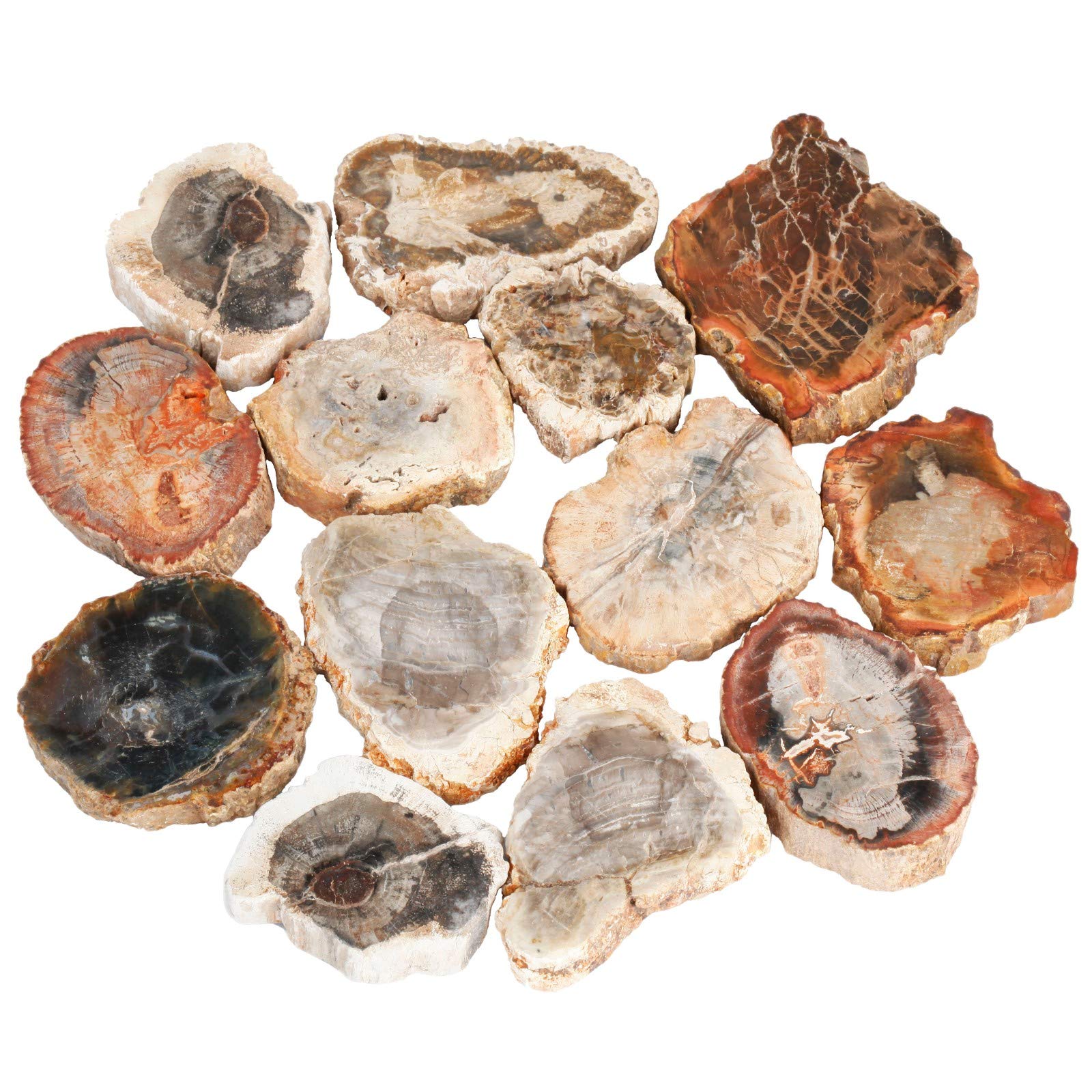 mookaitedecor Natural Petrified Wood Slices Healing Crystal Rough Stone,Reiki Gemstone Specimen Figurine Home Decor(Approx 35-95g) - Image 3