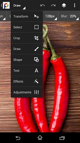PhotoSuite Free 4 – vue 7
