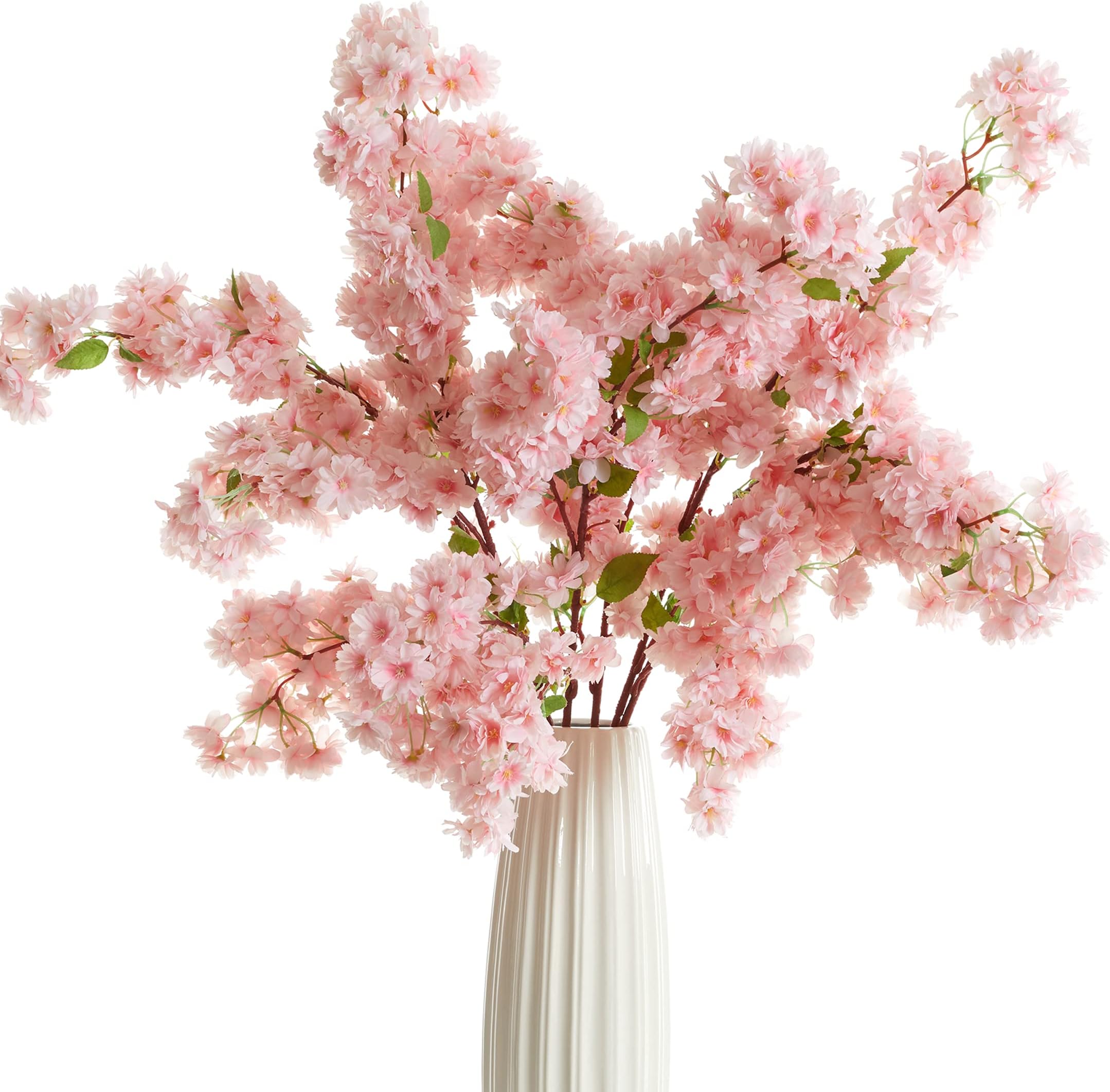 Learn about Cherry Blossom Trees Are Blooming Now! here at the Brighter Learn about Cherry Blossom Trees Are Blooming Now! here at the Brighter