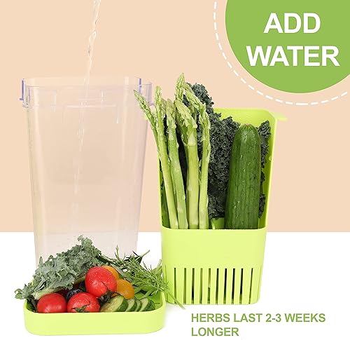 Miniatura 5 de LUVCOSY Conservador de hierbas frescas para refrigerador, protector de hierbas transparente sin BPA, contenedor de almacenamiento para cilantro,