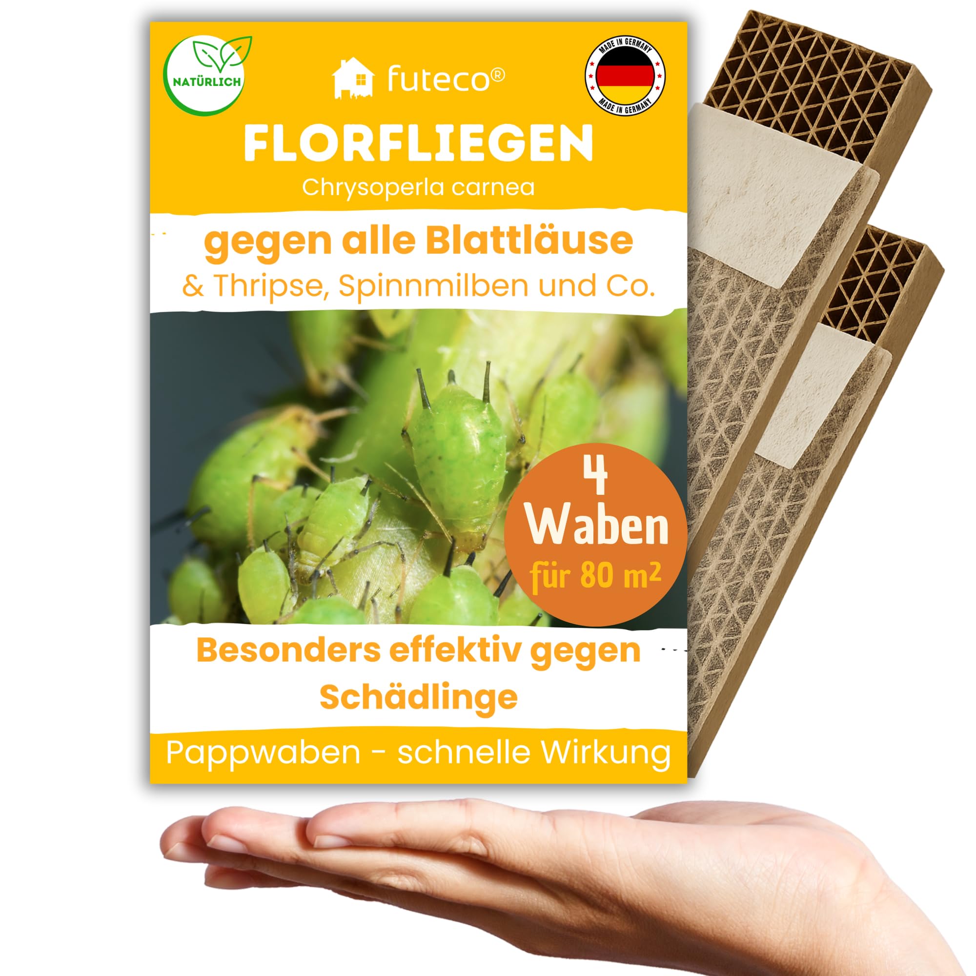 Futeco® – Florfliegenlarven gegen Blattläuse, Spinnmilben, Thripse & Co. - Wabe für besonders schnellen Effekt - 4 Waben für ca. 80 m² - starke Wirkung bei Gemüse-, Cannab.- & Zierpflanzen