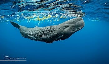 海の物語　EoNa 限定236/350 クジラと海の風景 リトグラフ 海の物語 EoNa 限定236/350 クジラと海の風景 リトグラフ