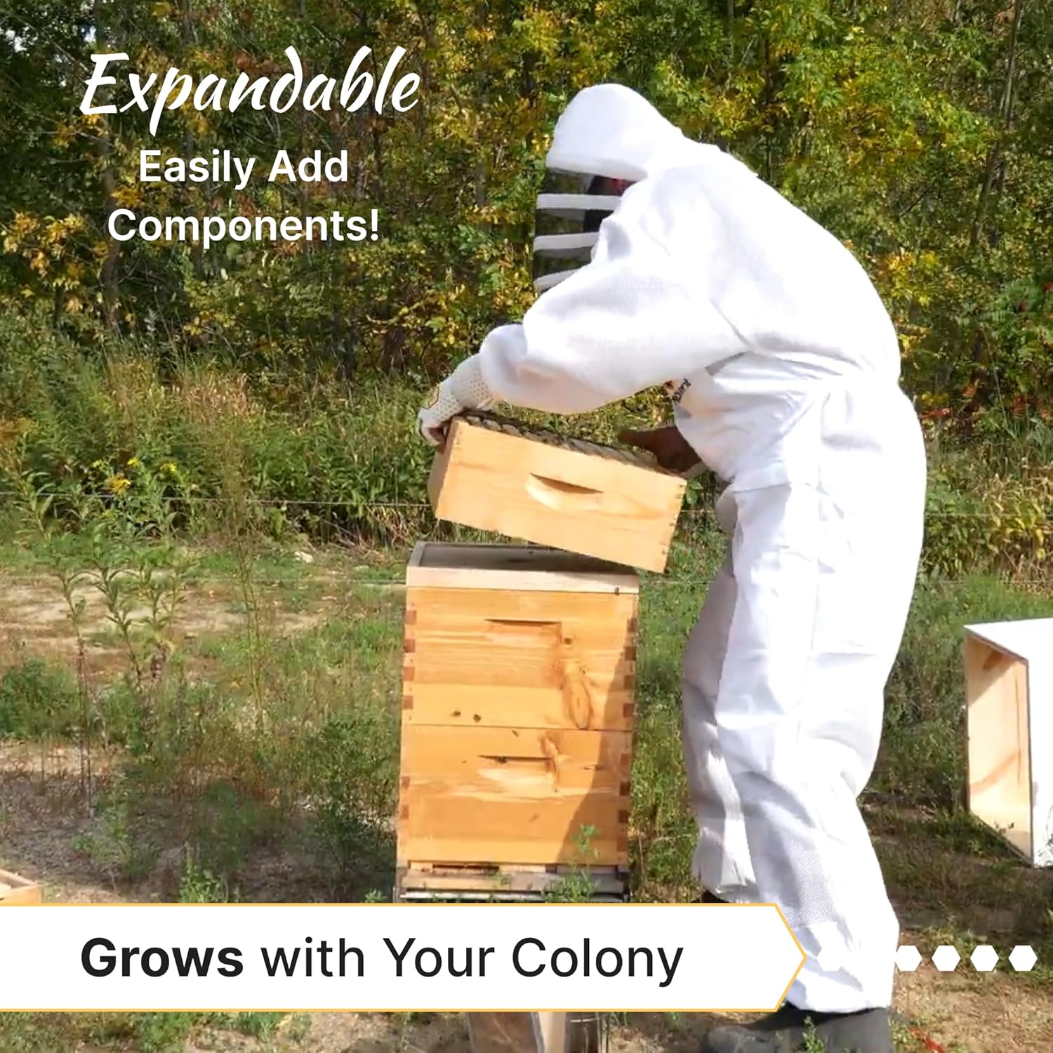 Mann Lake 10-Frame Medium Super Kit, Fully Assembled 6⅝" Super Box with 10 Durable Frames & Beeswax-Coated Plastic Foundation for Honey Storage, Beekeeping and Hive Expansion, Made in USA, Painted