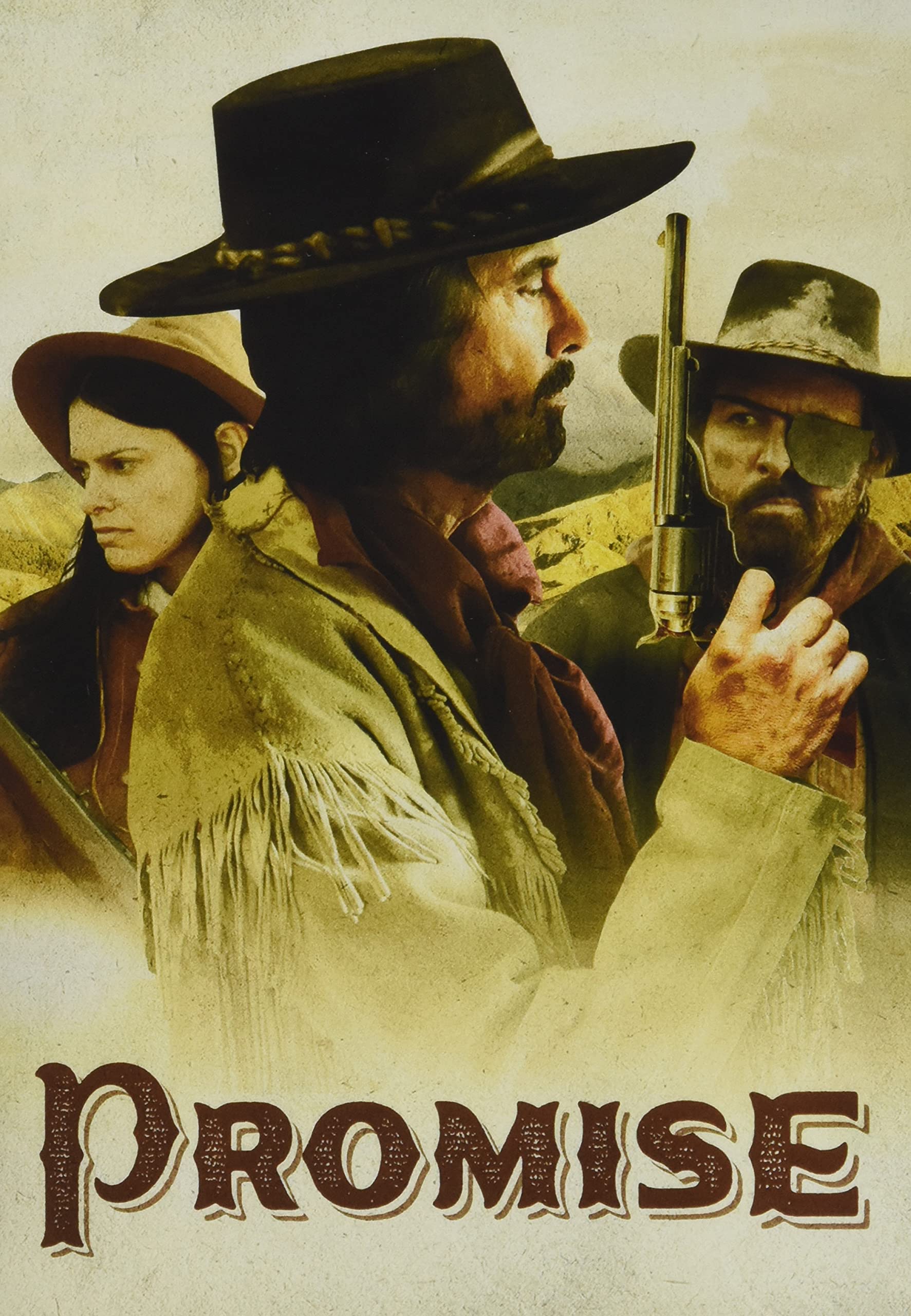 DVD Promise importado de Estados Unidos para noches de cine en casa