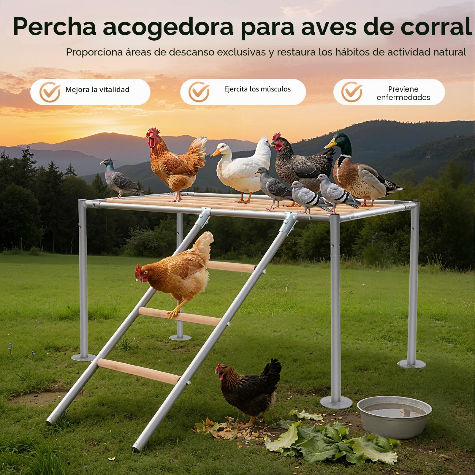 Juego de gallinero XXL para gallinas, escalera para 10 pollos, juguete para pollos, juguete exterior, 105 x 60 x 60 cm
