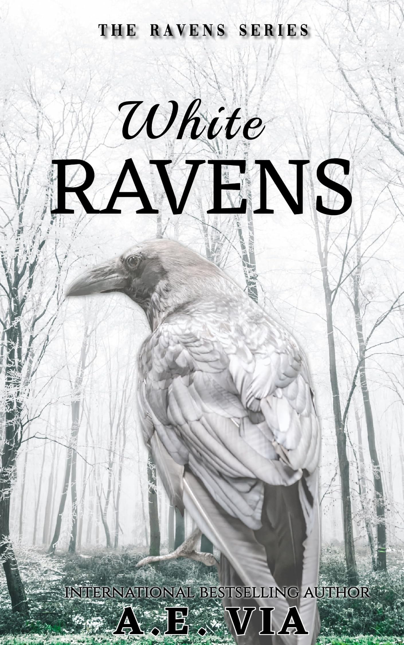 White Ravens (Ravens Series Book 3)