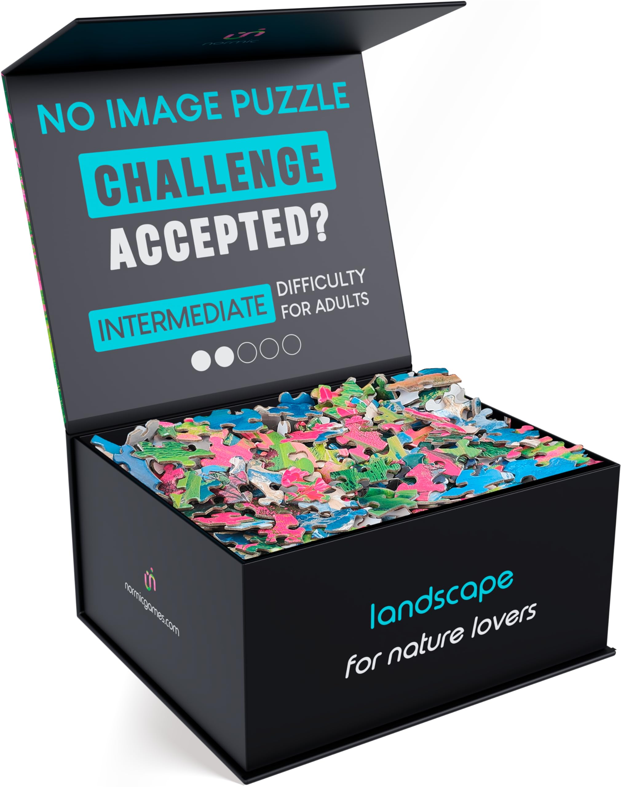 normic NO Image Puzzle 1000 Irregular Pieces Without Template