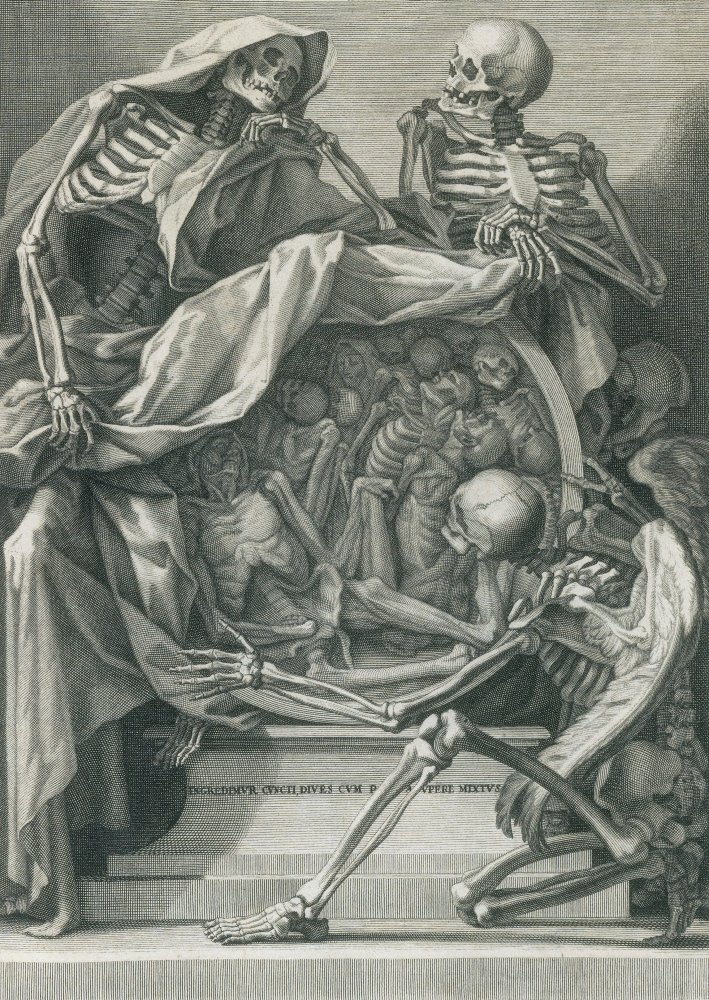 Amazon.co.jp: Danse Macabre 17世紀ポスタープリント Science Source