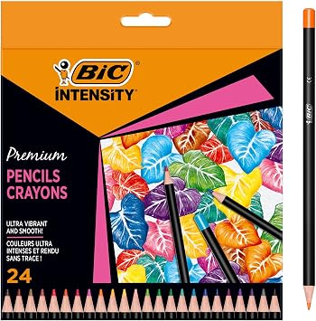 BIC Intensity Colouring Pencils In Premium Cardboard Case Suitable For Adults, Assorted Colours, Pack of 24