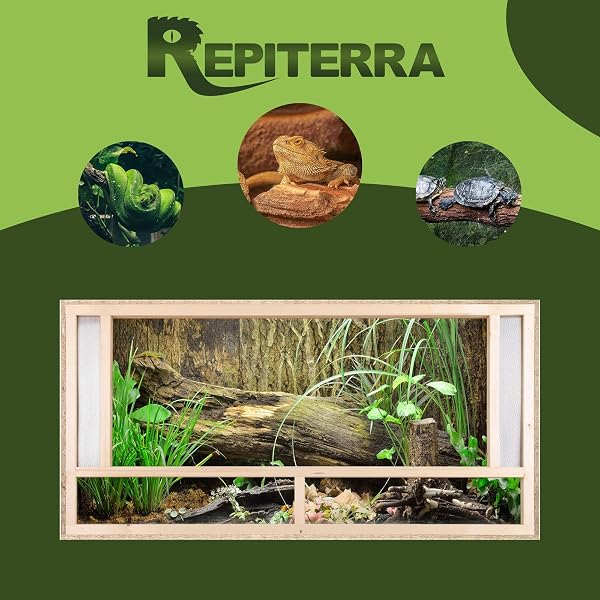 REPITERRA Terrarium Reptiles & Batraciens En Bois OSB, Facile à Monter avec Aération sur la Face Avant - 120x60x60cm - 5