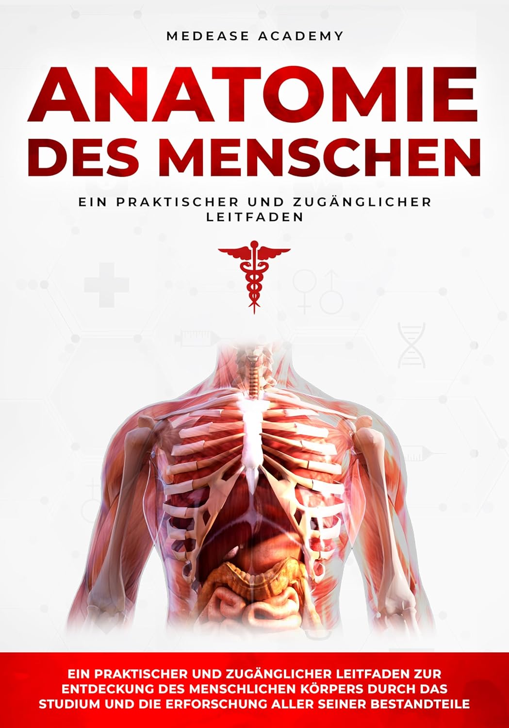 Anatomie Des Menschen: Ein praktischer und zugänglicher Leitfaden zur Entdeckung des menschlichen Körpers durch das Studium und die Erforschung aller seiner Bestandteile (German Edition)      Kindle Edition
