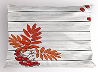 Vista 38 de Bolos decoraciones de fiesta funda de almohada por Ambesonne, bola roja con difusión Skittles vibrantes abstracta vibrante Arte, decorativo impreso