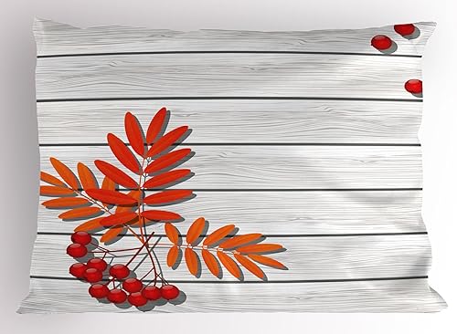 Miniatura 39 de Ambesonne Earth - Juego de 2 fundas de almohada con diseño de geografía de los continentes realistas de Globe of Planet Tierra, artículo de ropa