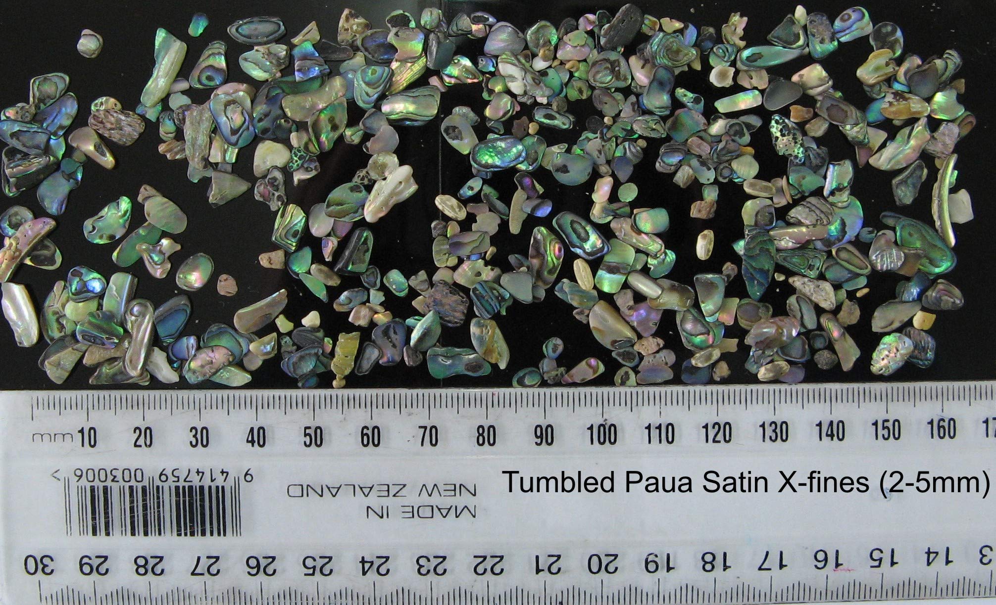 PAUA (Abalone) elementy muszli satyna na imprezę tematyczną na plaży, dekoracje ślubne, rękodzieło DIY, dekoracje domowe, materiały do akwarium (końcówki X-Fines 200 gm)