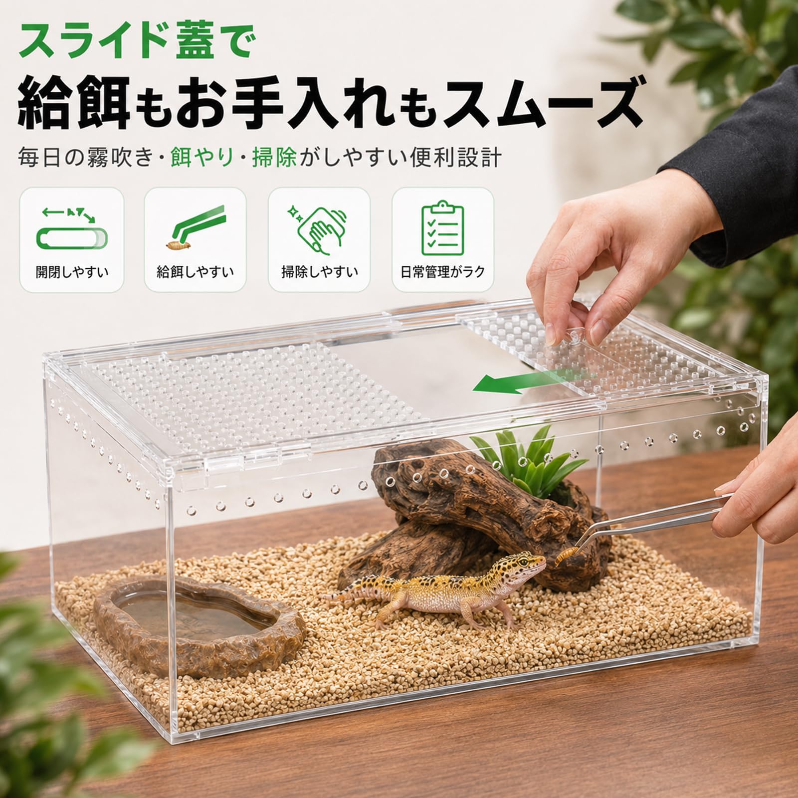 Amazon | 爬虫類 ケージ 飼育ケース アクリル製 スライド蓋付き 通気穴