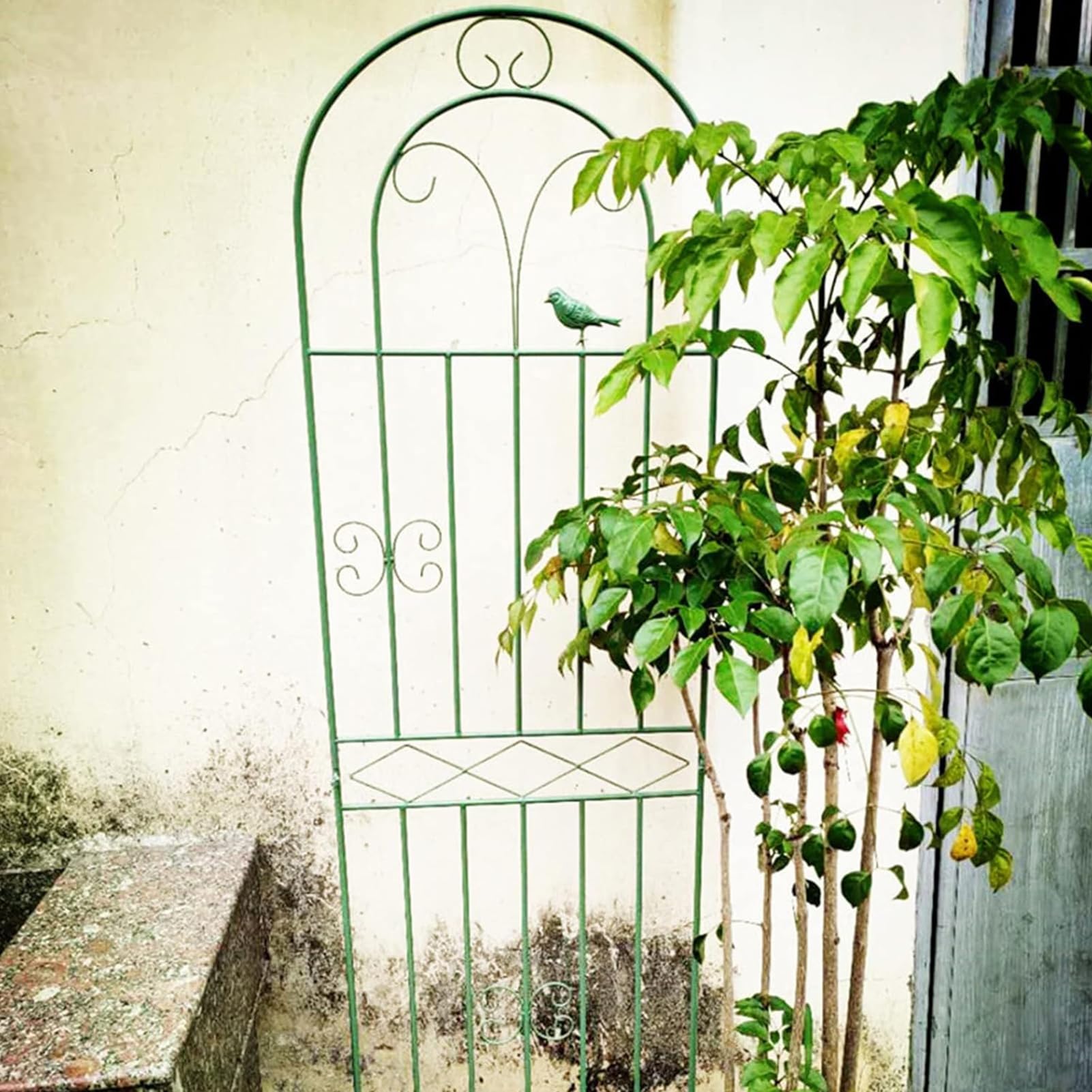 Treillis de jardin pour plantes grimpantes de balcon ou de potager