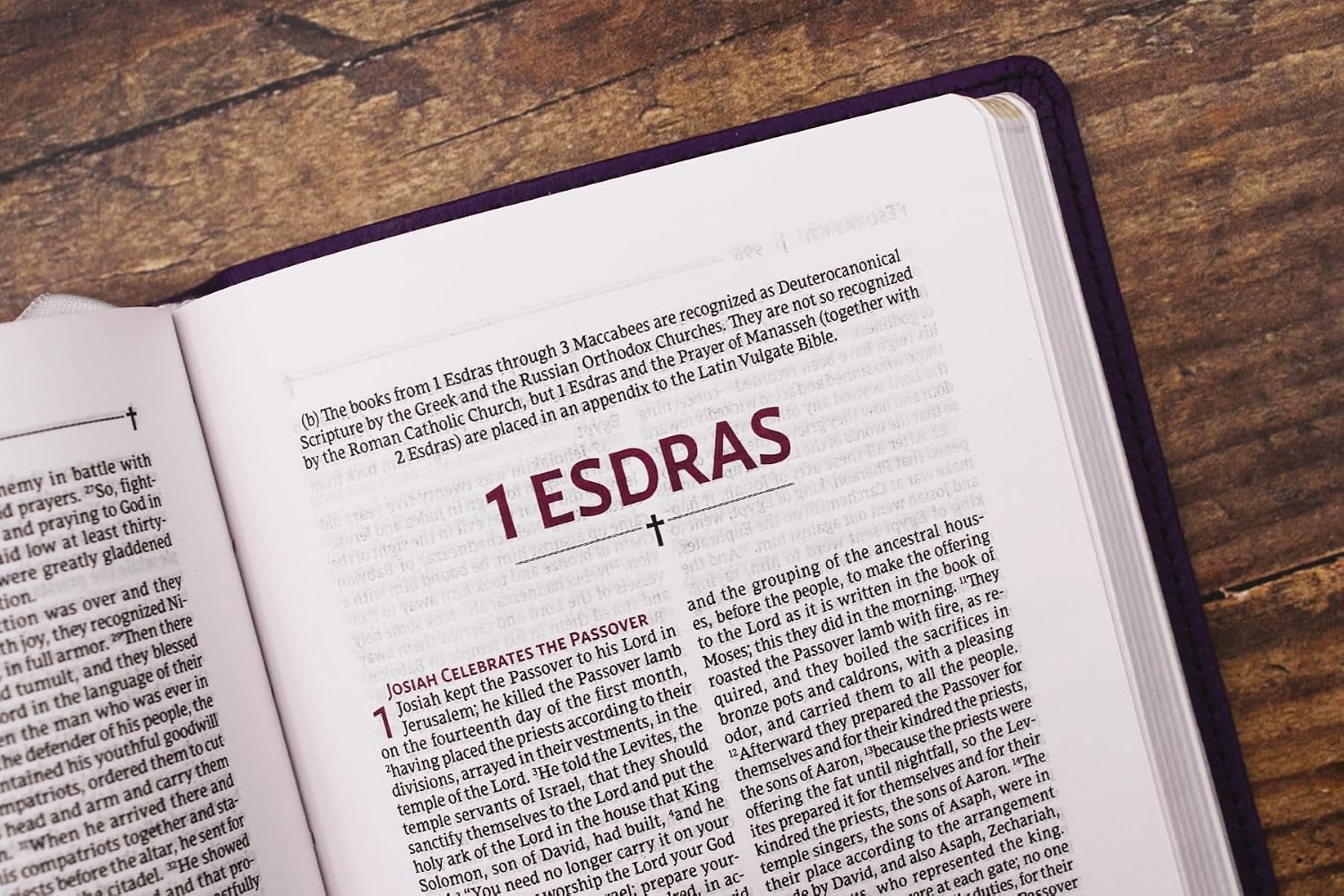 NRSVue, Holy Bible with Apocrypha, Compact, Leathersoft, Purple, Comfort Print