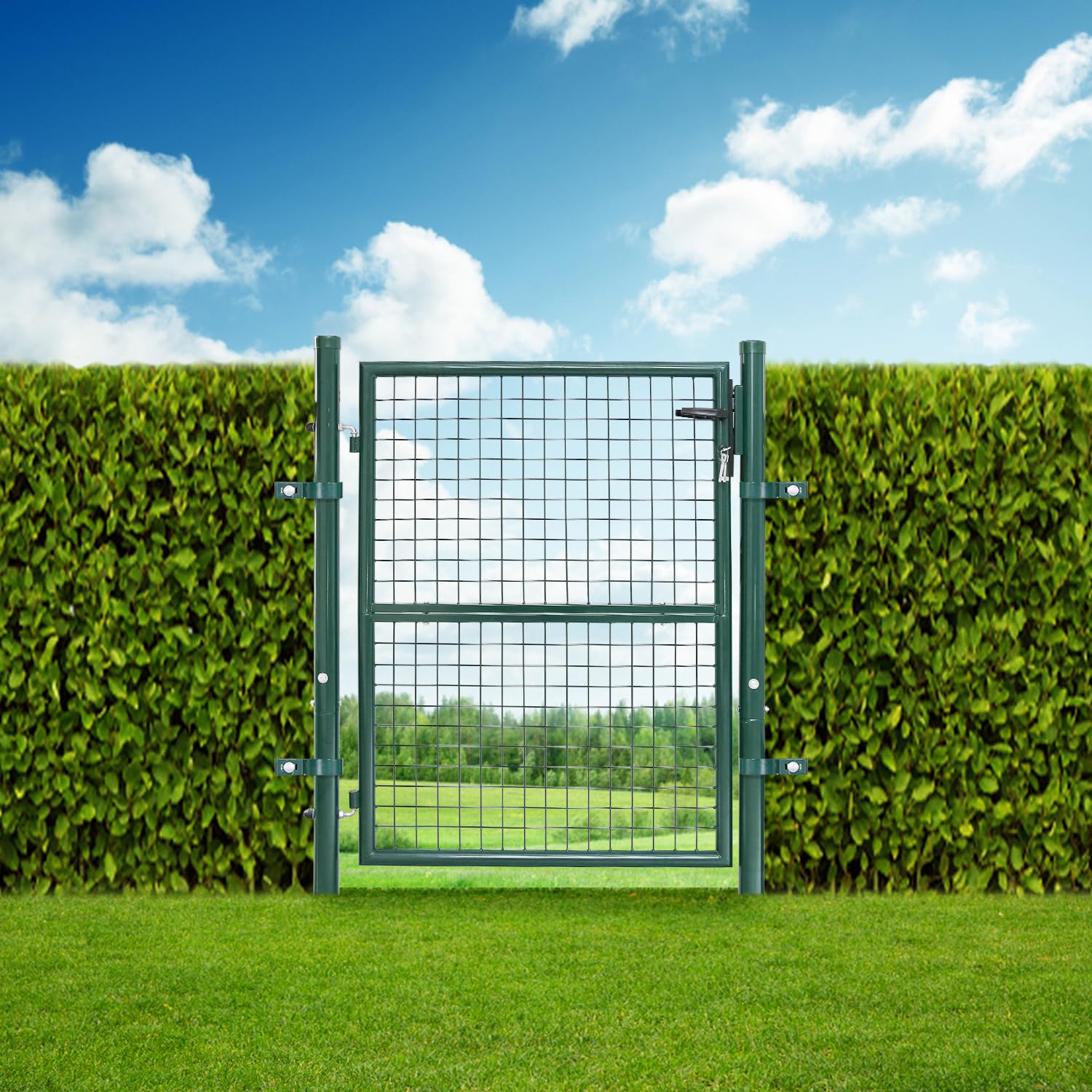 Fiqops Portail de jardin, 125 x 100 cm, vert, en acier galvanisé, avec serrure, poignée de porte et 3 clés, résistant aux intempéries, robuste et durable