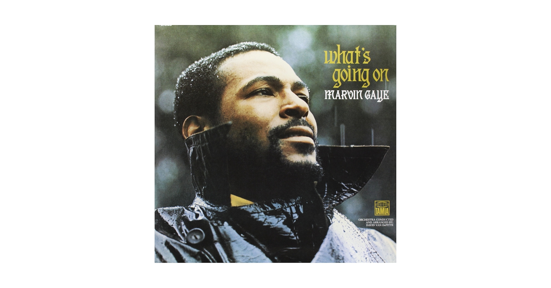 Marvin Gaye - What's Going On [Vinyl] - Amazon.com Music