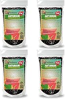 Vista 7 de Gardenera Tierra para macetas de anturio: garantiza la salud y el éxito de tus plantas - 1 cuarto de galón