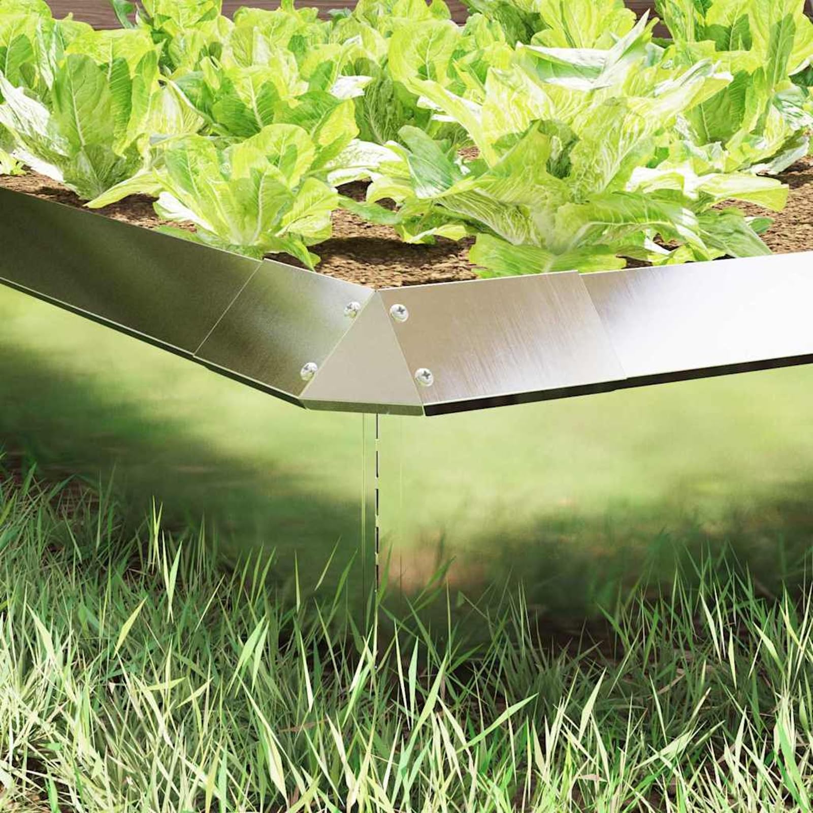 Gecheer Schneckenzaun 4 Stuck Silber 13 5 x 13 5 x 25 cm Edelstahl Gartenschutz Pflanzenbeet Abgrenzung for Garten Terrassen