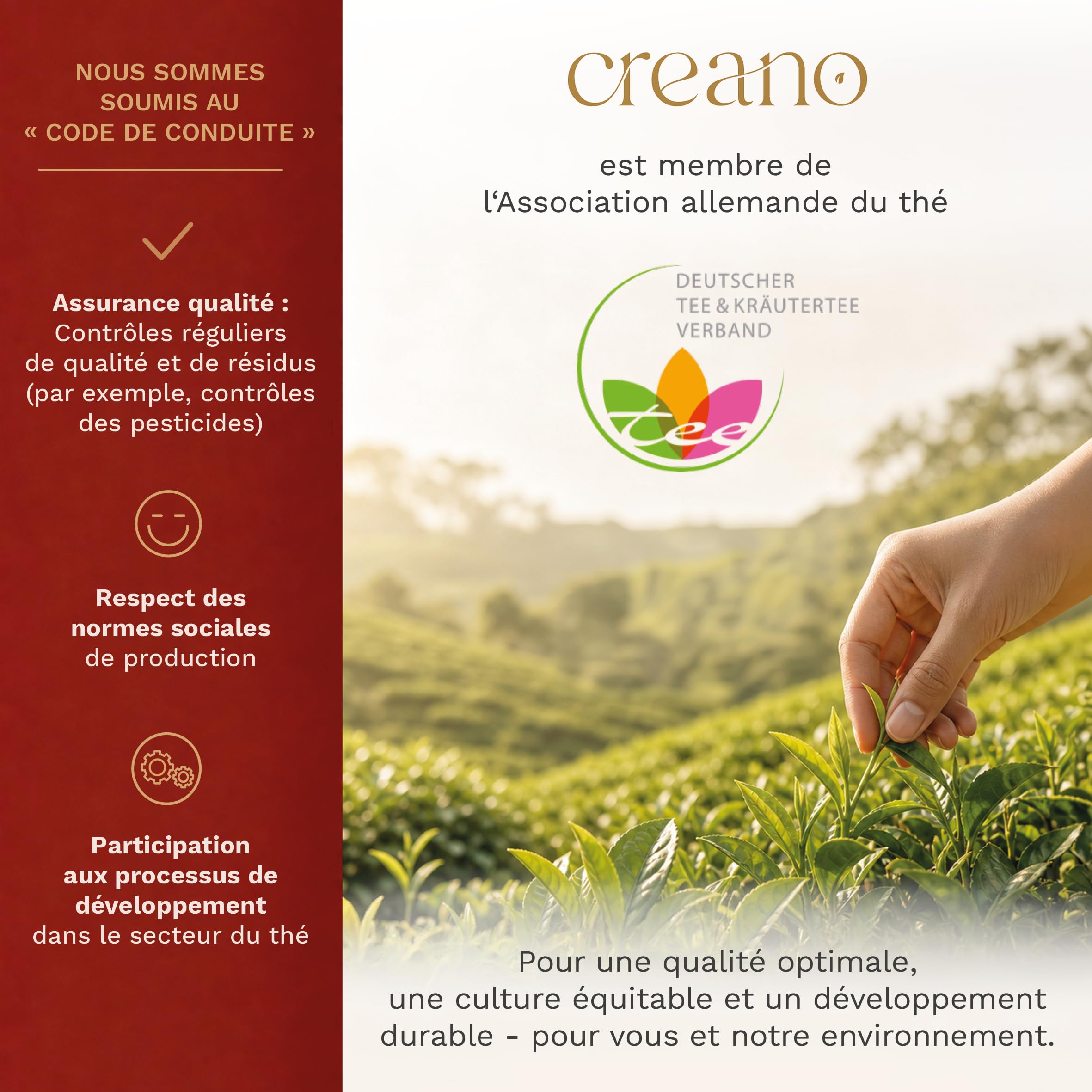 Creano Coffret „Thé en Floraison“ 6 thés de fleurs – Théière en verre 500ml sans goutte – 6 variétés de thé blanc – Idée cadeau exceptionnelle – Verre borosilicate