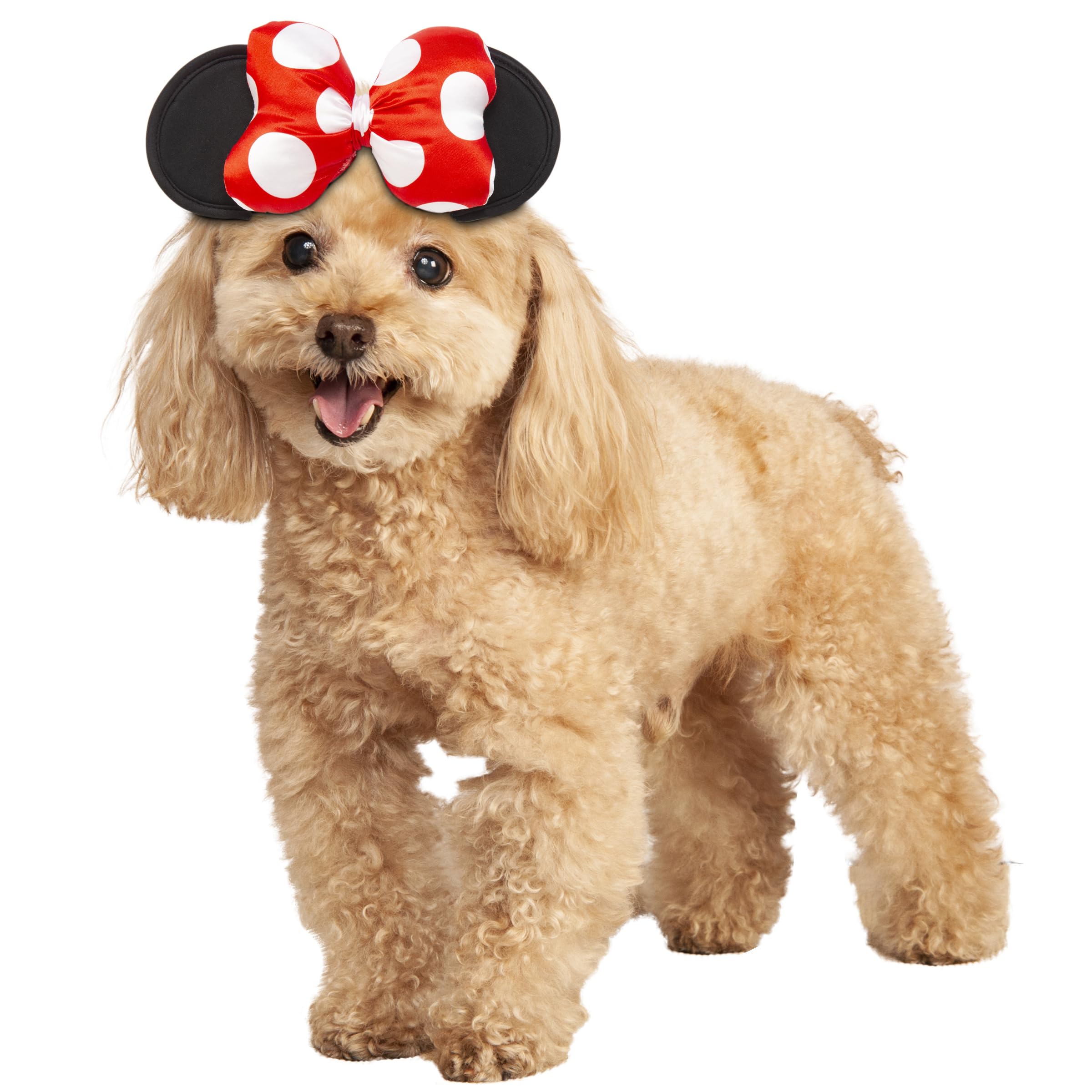 Rubies Disney: Mickey & Friends Pet Costume Accessory, Minnie Mouse, Medium/Large (200168_M/L)