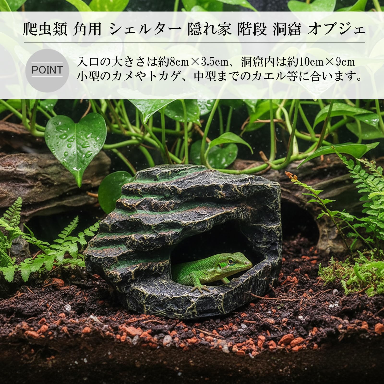 Amazon | Silver ＆ Style 爬虫類 隠れ家 シェルター 角 テラリウム