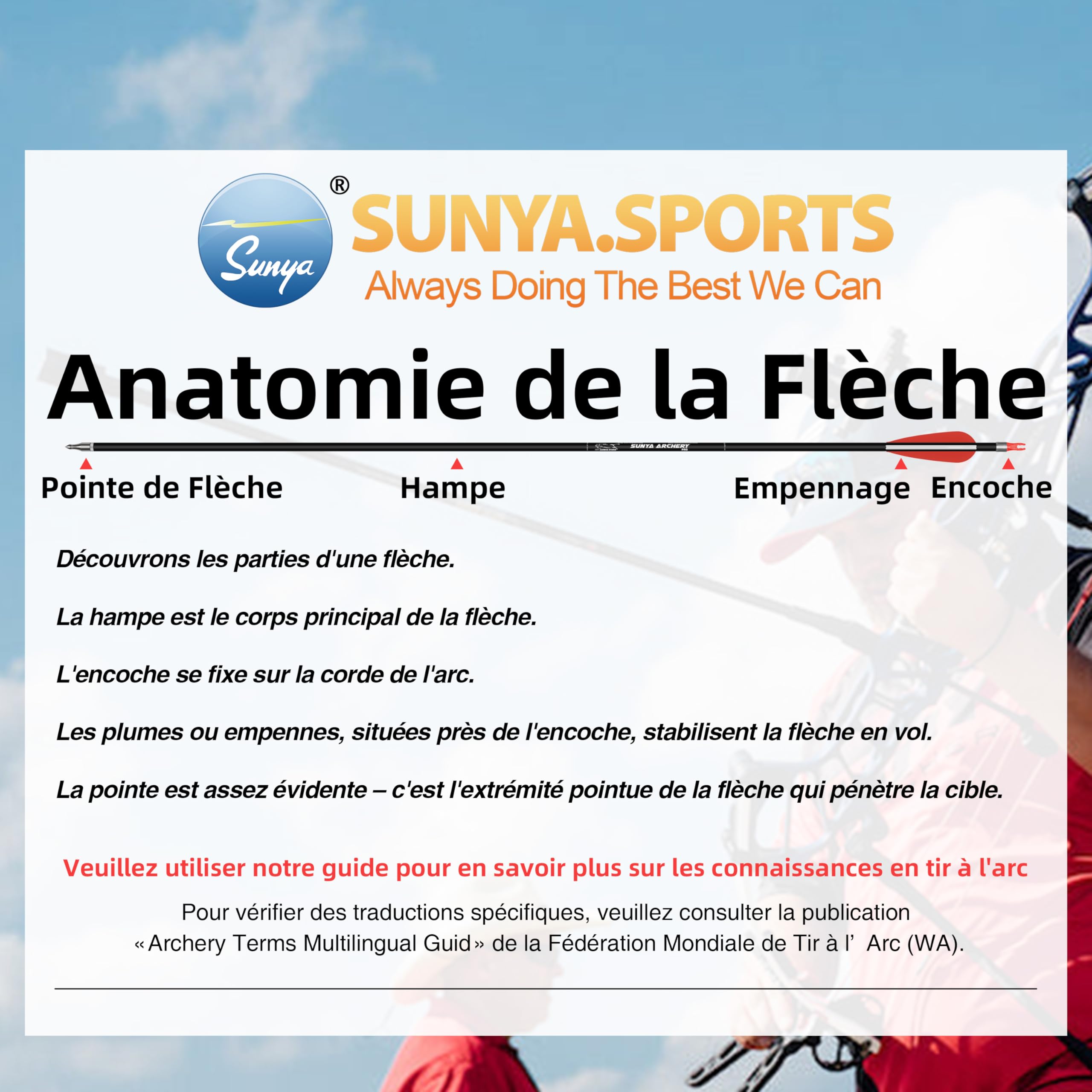 Sunya Flèches de Chasse pour Arc à poulies et Arc recurve. Tige en Carbone de 30 Pouces, Spine 400/500 avec Pointes Amovibles. Lot de 12