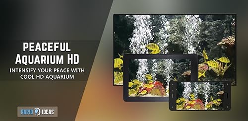 aquário pacífico gratuito HD - decore seu quarto com um belo aquário de vida marinha na sua TV HDR 4