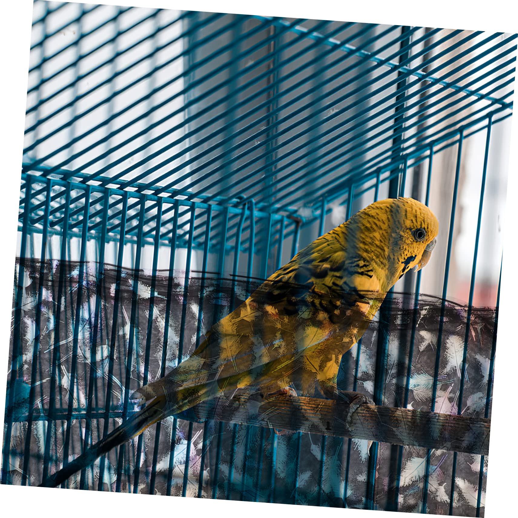 Beavorty 5piezas Cubierta De Jaula De Pájaros De Transpirable y Protector contra Salpicaduras y Jaulas Circunferencia