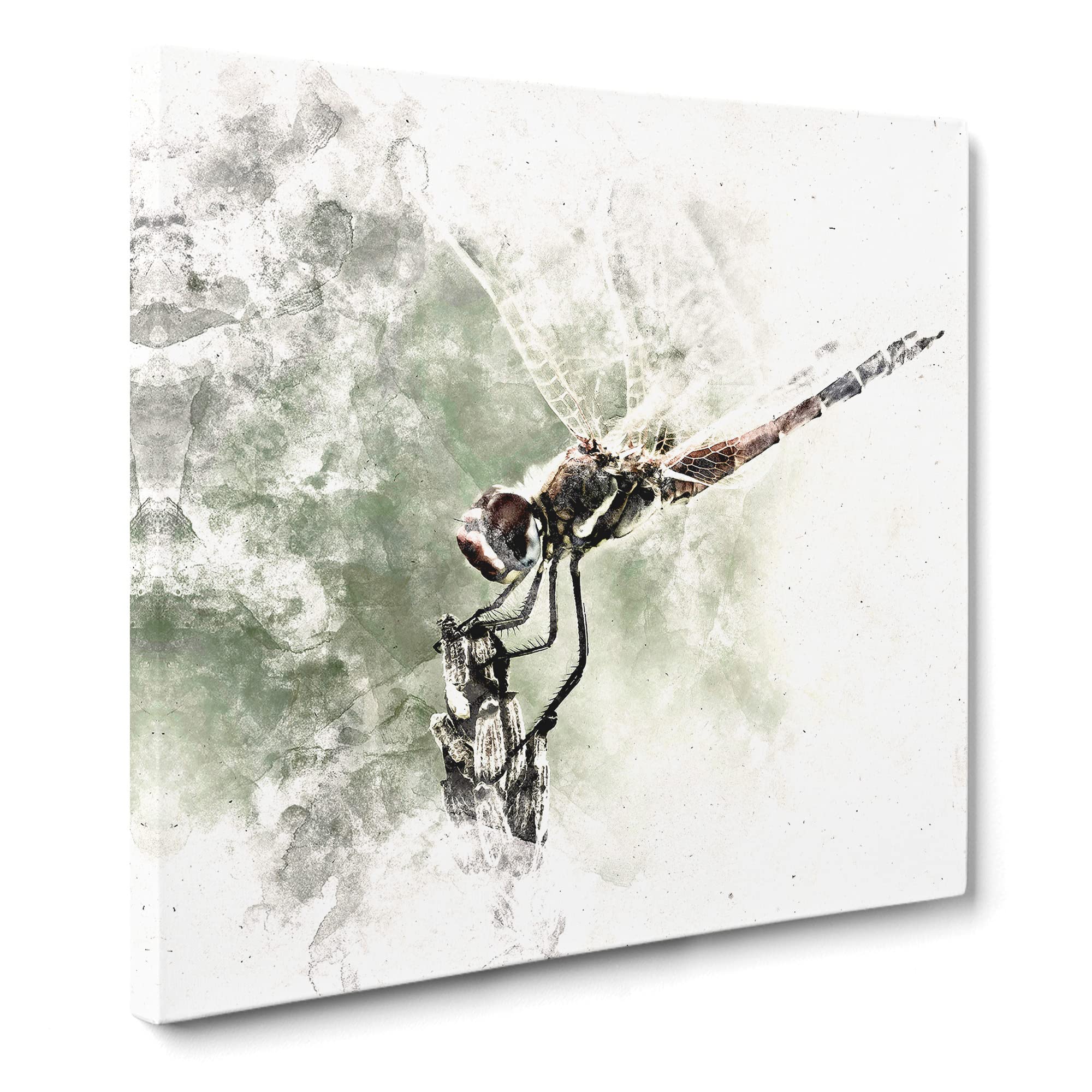 Perched Dragonfly Watercolour Canvas Print, Mixed, 35L x 35W cm