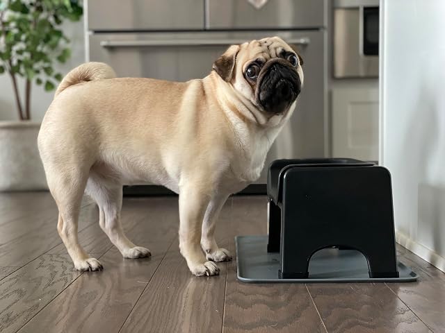 Foto 8 de 8 de Cuenco para Perros con alimentación Lenta y Pelusa