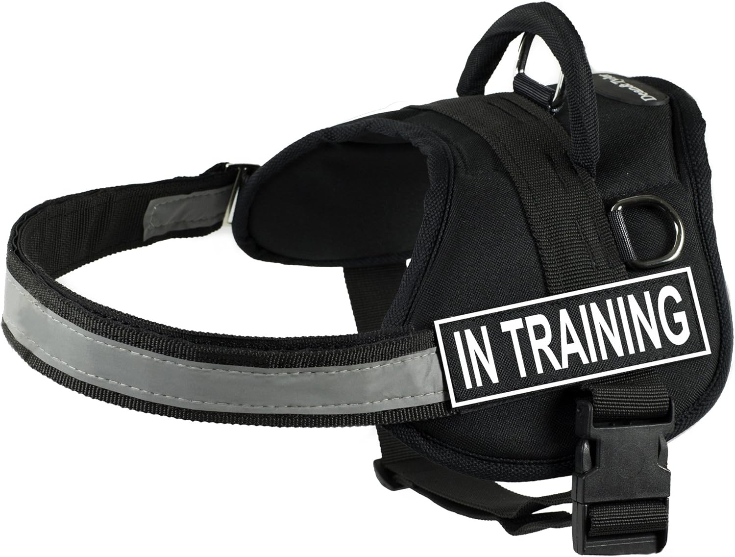 Dean & Tyler Works Harness, Medium